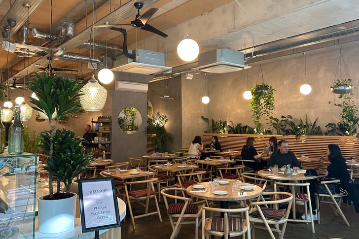 A well lit interior of a restaurant with hanging plants from the ceiling