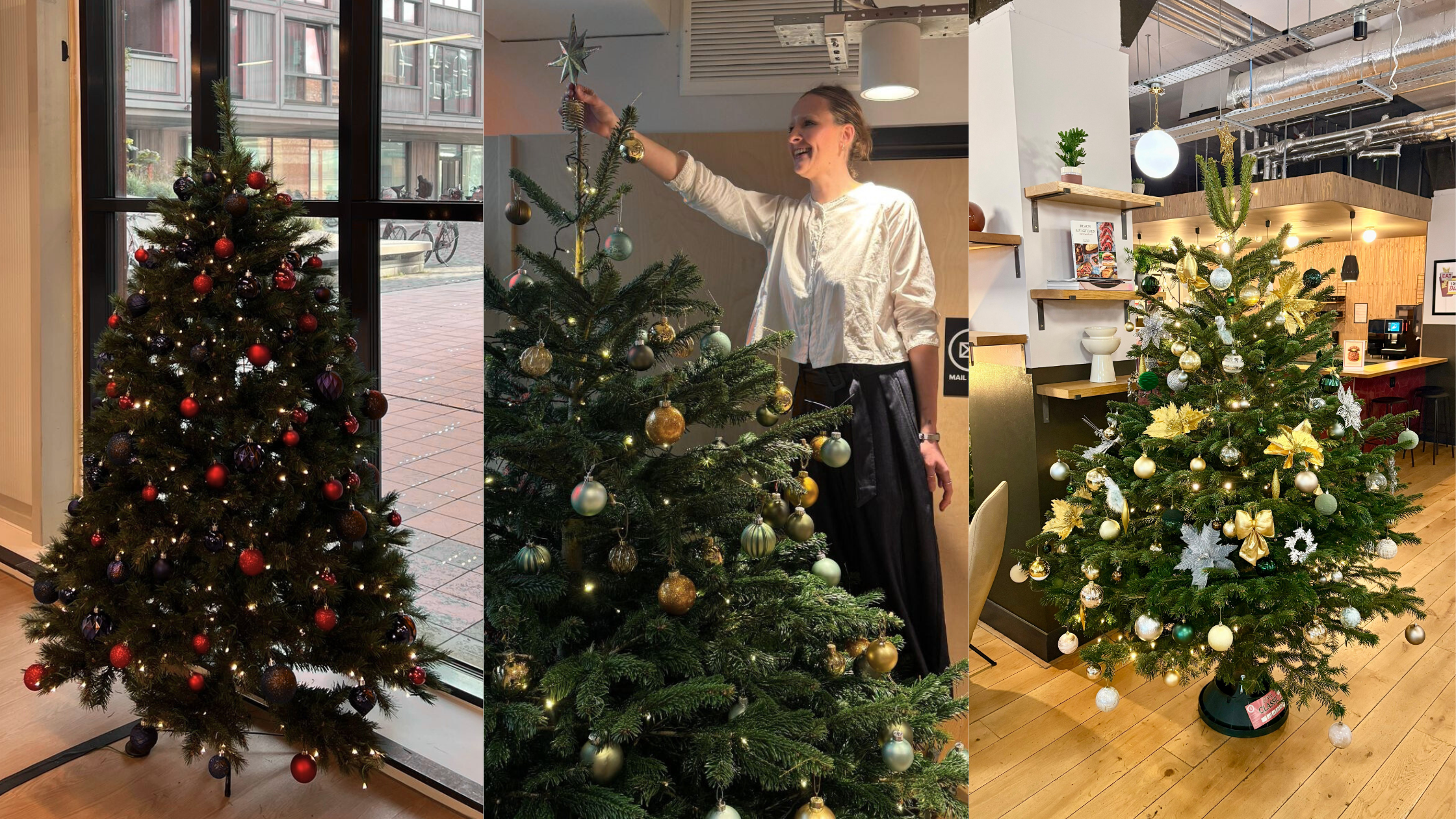 Untitled design-Dec-23-2025-09-37-12-0417-AM